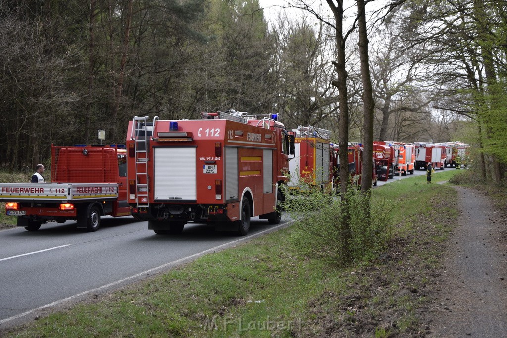 Waldbrand Wahner Heide Troisdorf Eisenweg P303.JPG - Miklos Laubert